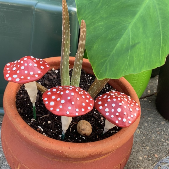 MUSHROOM ๐ Garden Stakes w/ SPOTS! Set of 3 - Picture 12 of 14